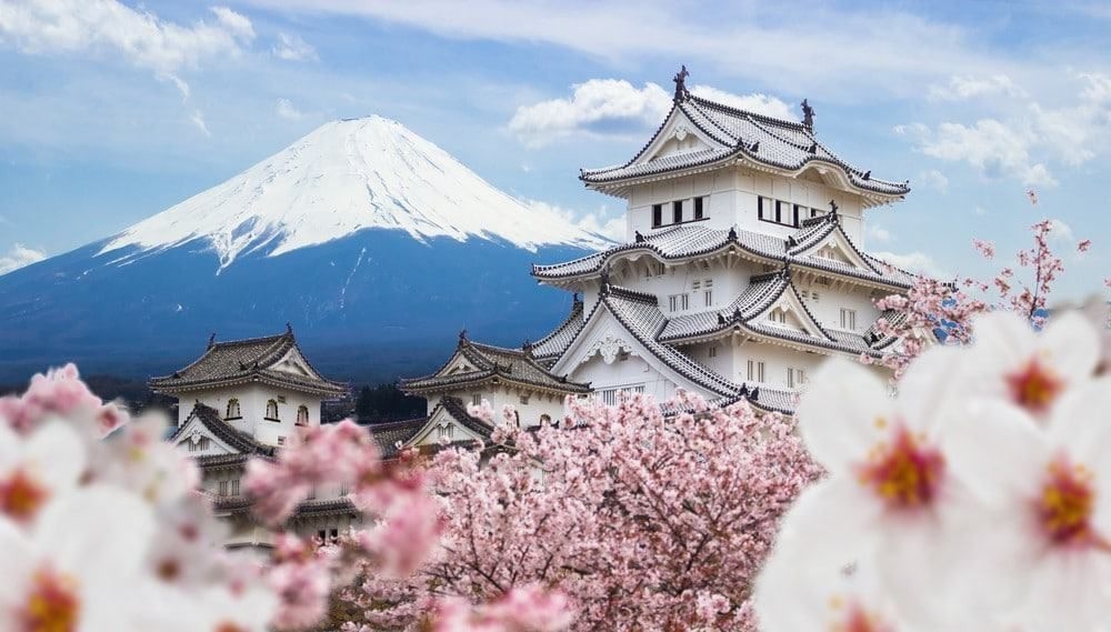 UN MUNDO DE SABORES ESPECIAL JAPÓN